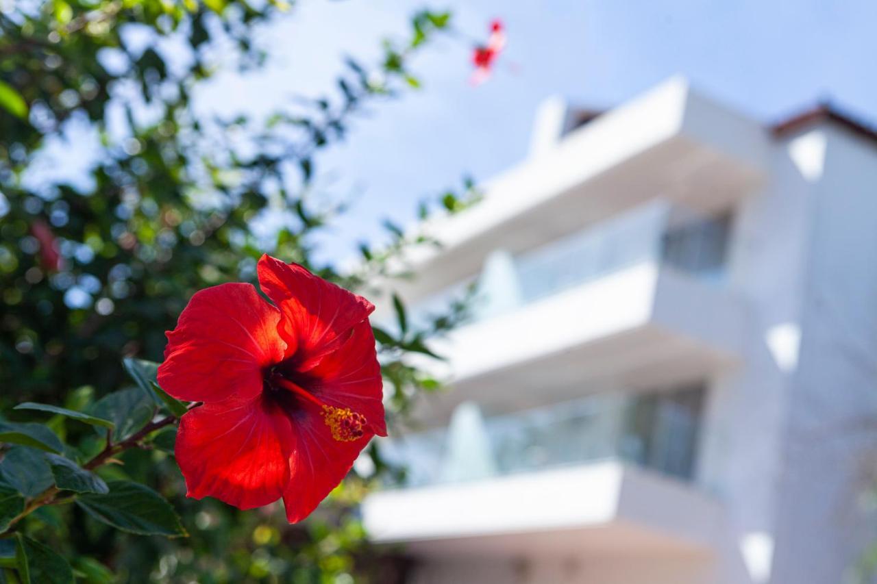 Hotel Jerez & Spa Jerez de la Frontera Exterior photo
